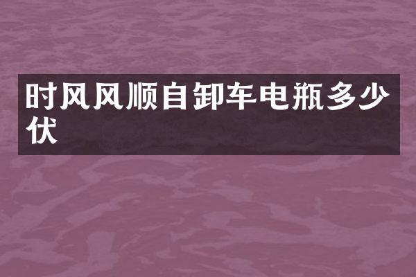 时风风顺自卸车电瓶多少伏