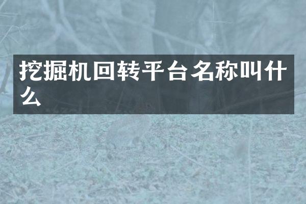挖掘机回转平台名称叫什么