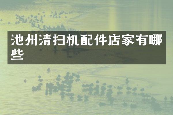 池州清扫机配件店家有哪些