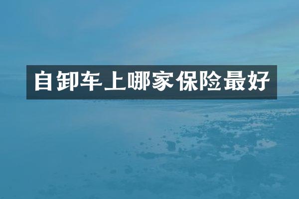自卸车上哪家保险最好