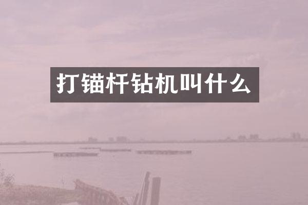打锚杆钻机叫什么