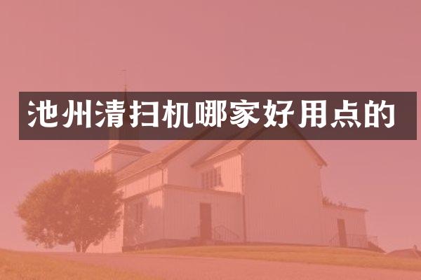 池州清扫机哪家好用点的