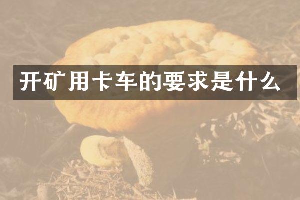开矿用卡车的要求是什么