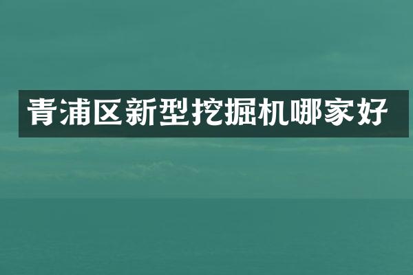 青浦区新型挖掘机哪家好