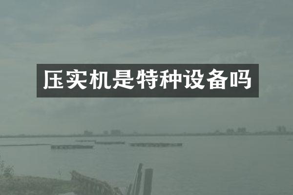 压实机是特种设备吗