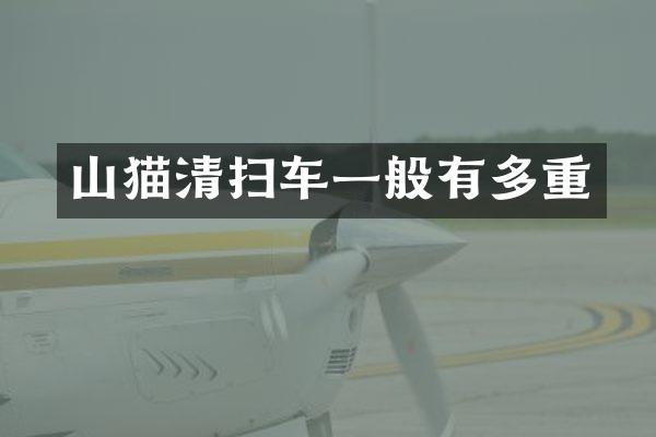 山猫清扫车一般有多重