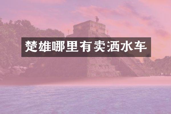 楚雄哪里有卖洒水车