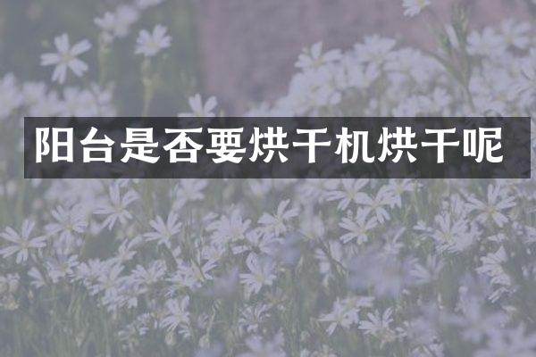 阳台是否要烘干机烘干呢