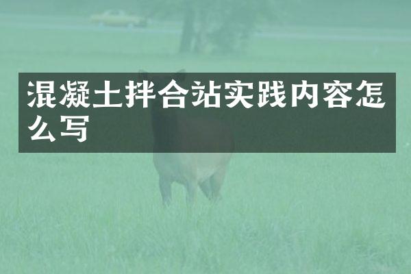 混凝土拌合站实践内容怎么写