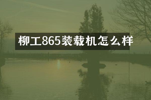 柳工865装载机怎么样
