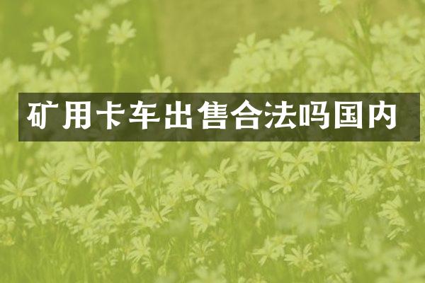 矿用卡车出售合法吗国内