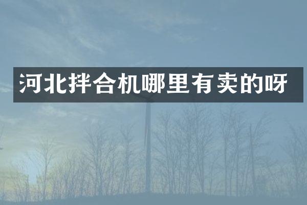 河北拌合机哪里有卖的呀