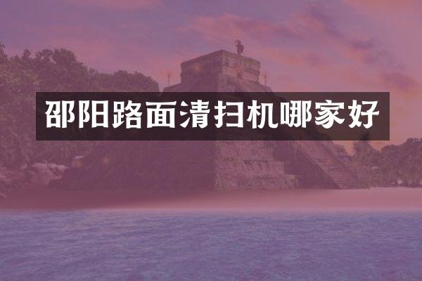 邵阳路面清扫机哪家好
