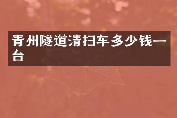 青州隧道清扫车多少钱一台