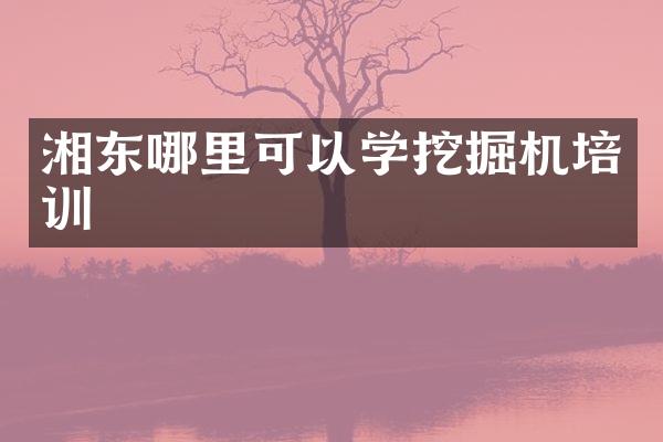 湘东哪里可以学挖掘机培训