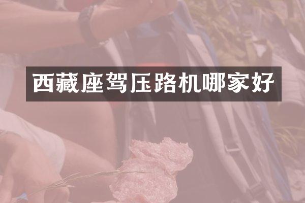 西藏座驾压路机哪家好
