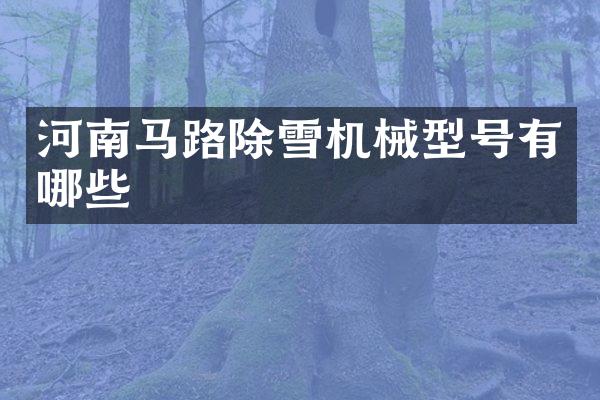河南马路除雪机械型号有哪些