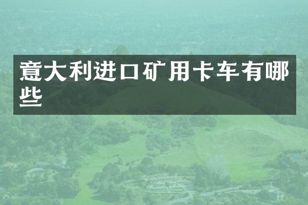 意大利进口矿用卡车有哪些