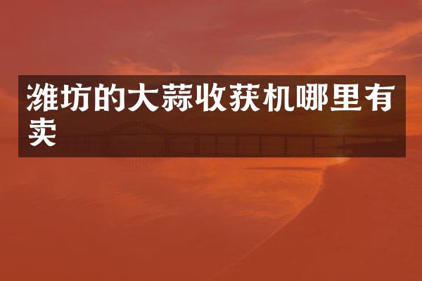 潍坊的大蒜收获机哪里有卖