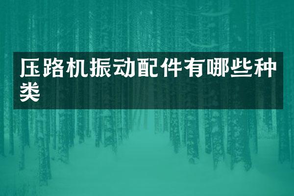 压路机振动配件有哪些种类