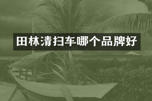 田林清扫车哪个品牌好