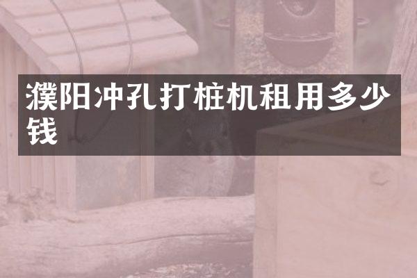 濮阳冲孔打桩机租用多少钱