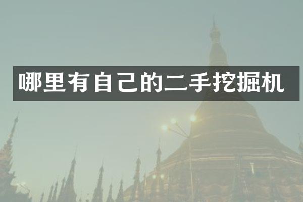 哪里有自己的二手挖掘机