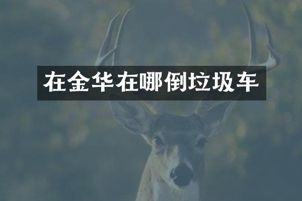 在金华在哪倒垃圾车