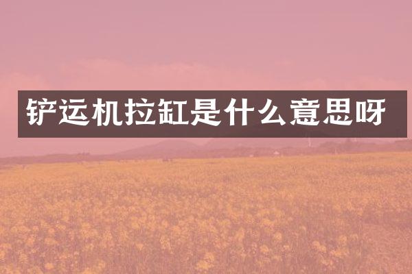 铲运机拉缸是什么意思呀