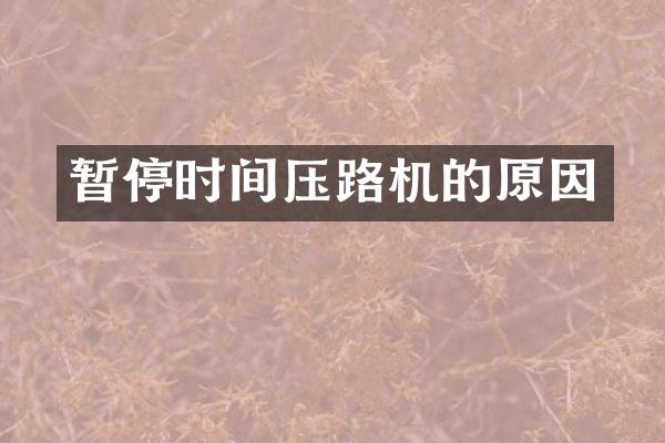 暂停时间压路机的原因