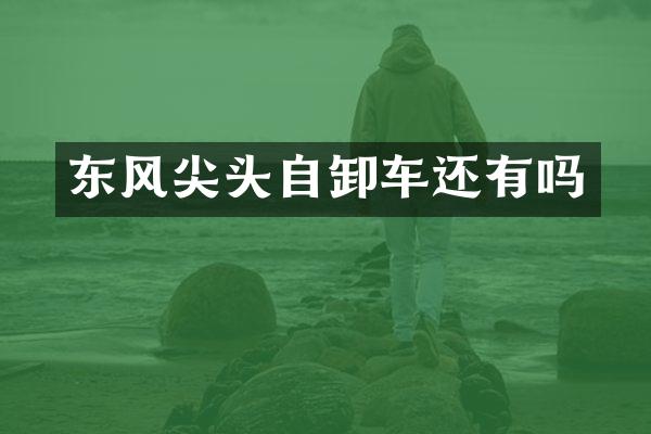 东风尖头自卸车还有吗