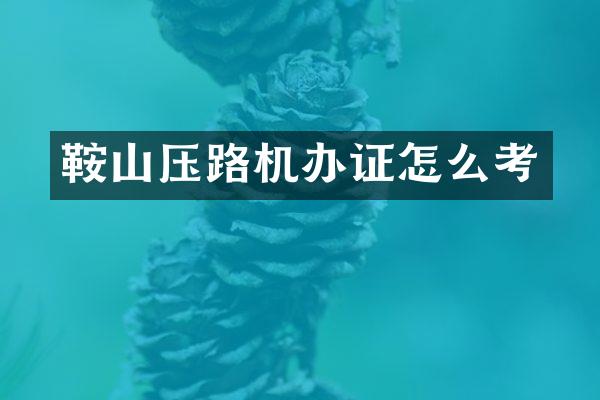 鞍山压路机办证怎么考