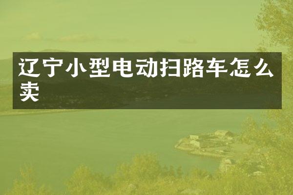 辽宁小型电动扫路车怎么卖