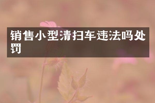 销售小型清扫车违法吗处罚
