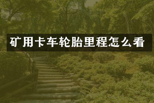 矿用卡车轮胎里程怎么看