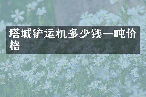塔城铲运机多少钱一吨价格