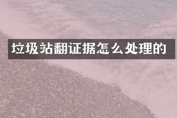 垃圾站翻证据怎么处理的