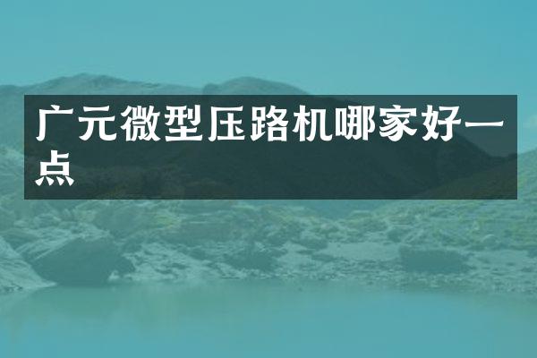 广元微型压路机哪家好一点