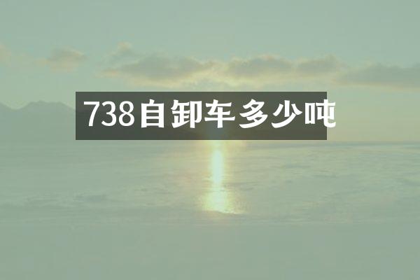 738自卸车多少吨