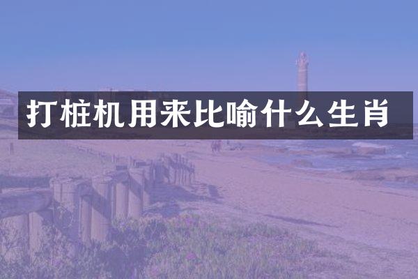 打桩机用来比喻什么生肖