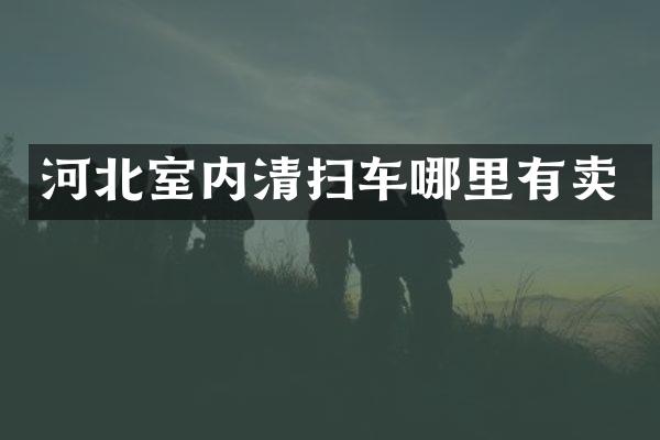 河北室内清扫车哪里有卖