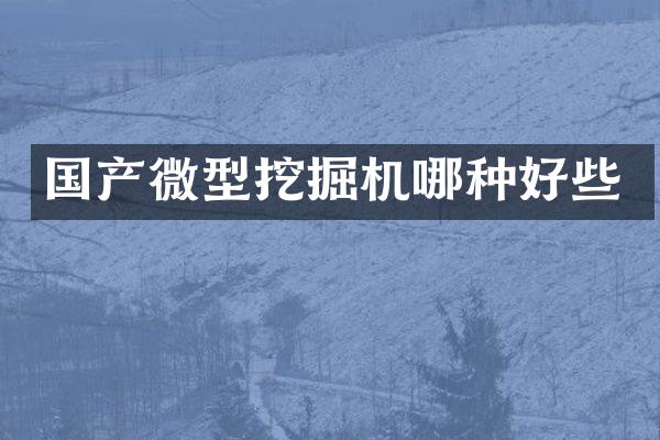 国产微型挖掘机哪种好些