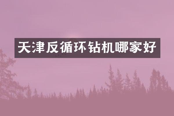 天津反循环钻机哪家好