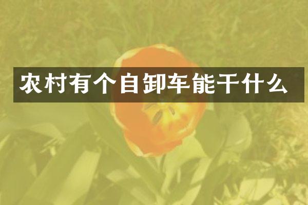 农村有个自卸车能干什么