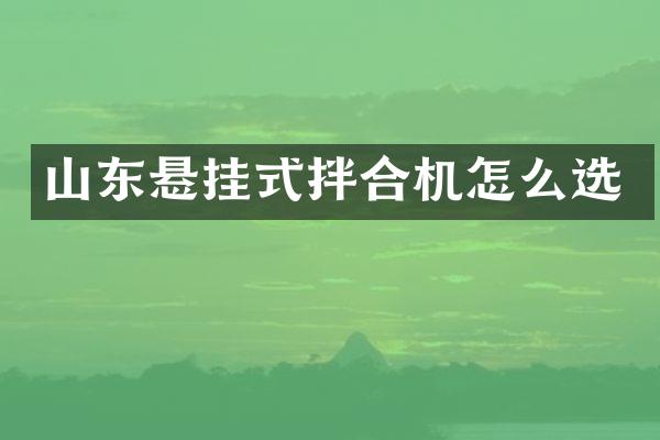 山东悬挂式拌合机怎么选