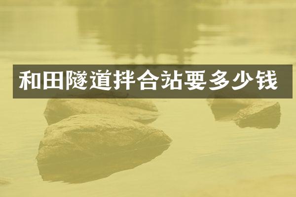 和田隧道拌合站要多少钱