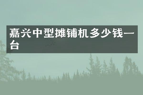 嘉兴中型摊铺机多少钱一台