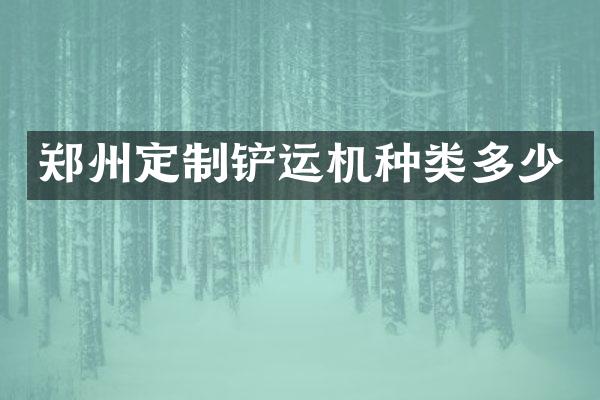 郑州定制铲运机种类多少