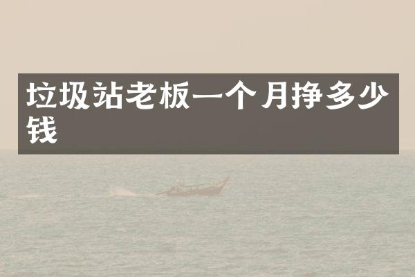垃圾站老板一个月挣多少钱