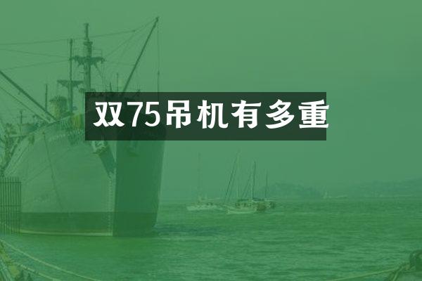 双75吊机有多重
